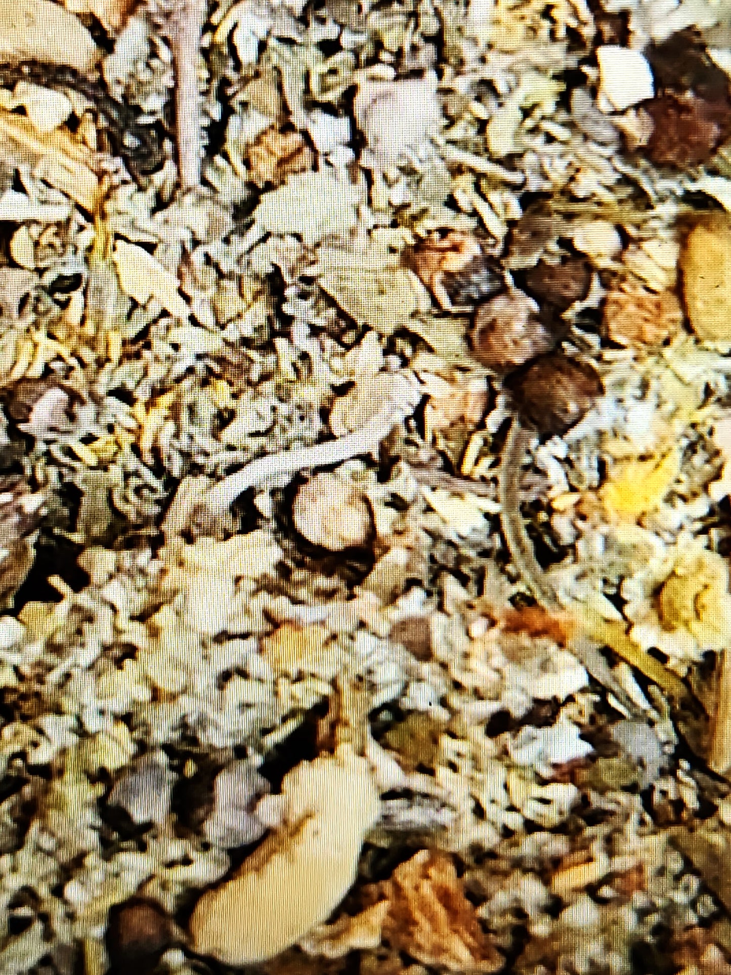 Womb Love Tea Blend - Nurturing the Feminine Essence